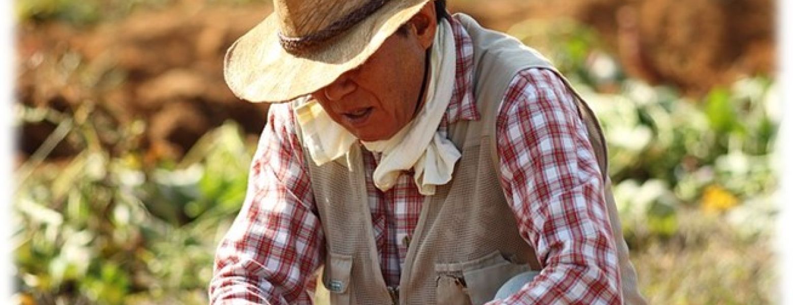 No Small Potatoes: Six Figure Settlement of Claims That Citizens and Lawful Permanent Residents Treated Differently