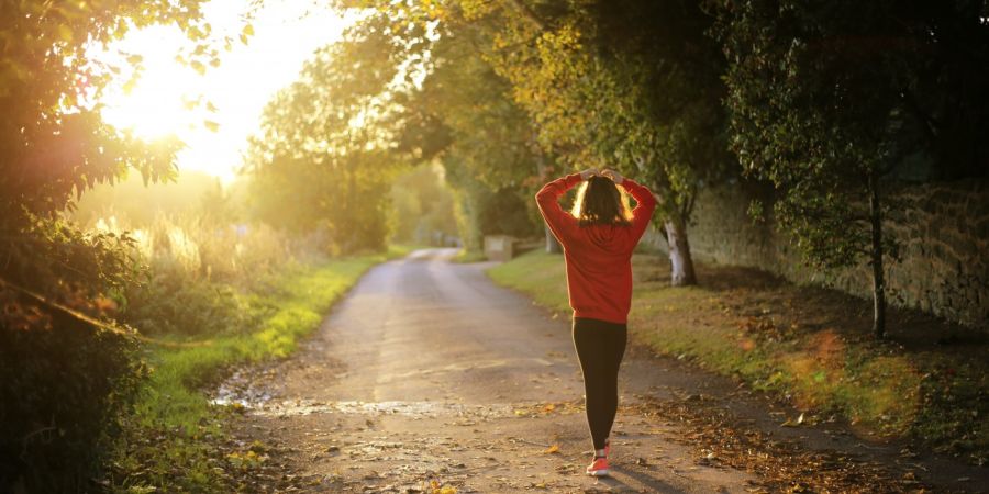 person walking on a road in the sunlight around trees