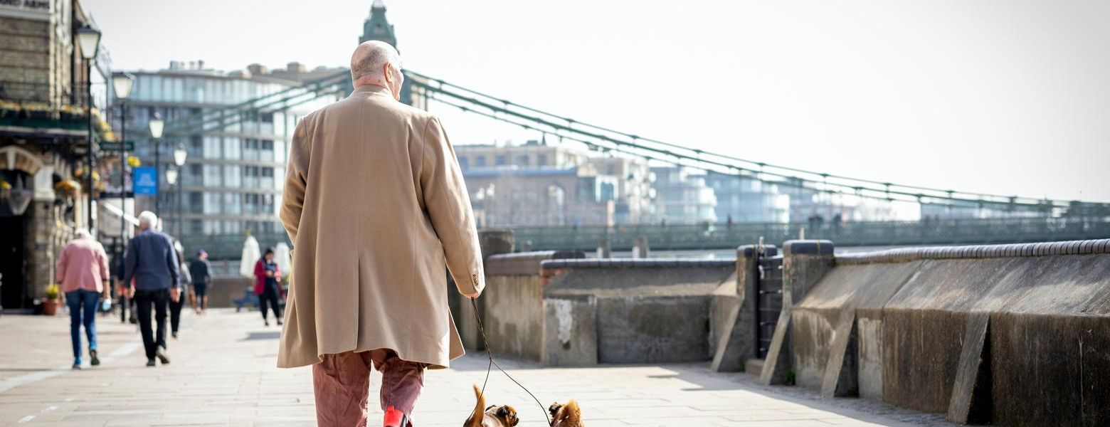 old man walking dogs outdoors