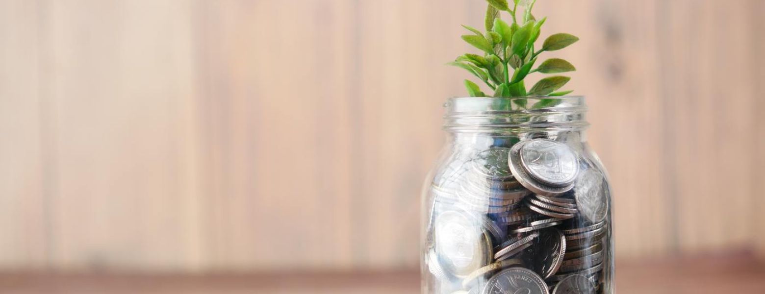 jar of money with a plant coming out, indoors