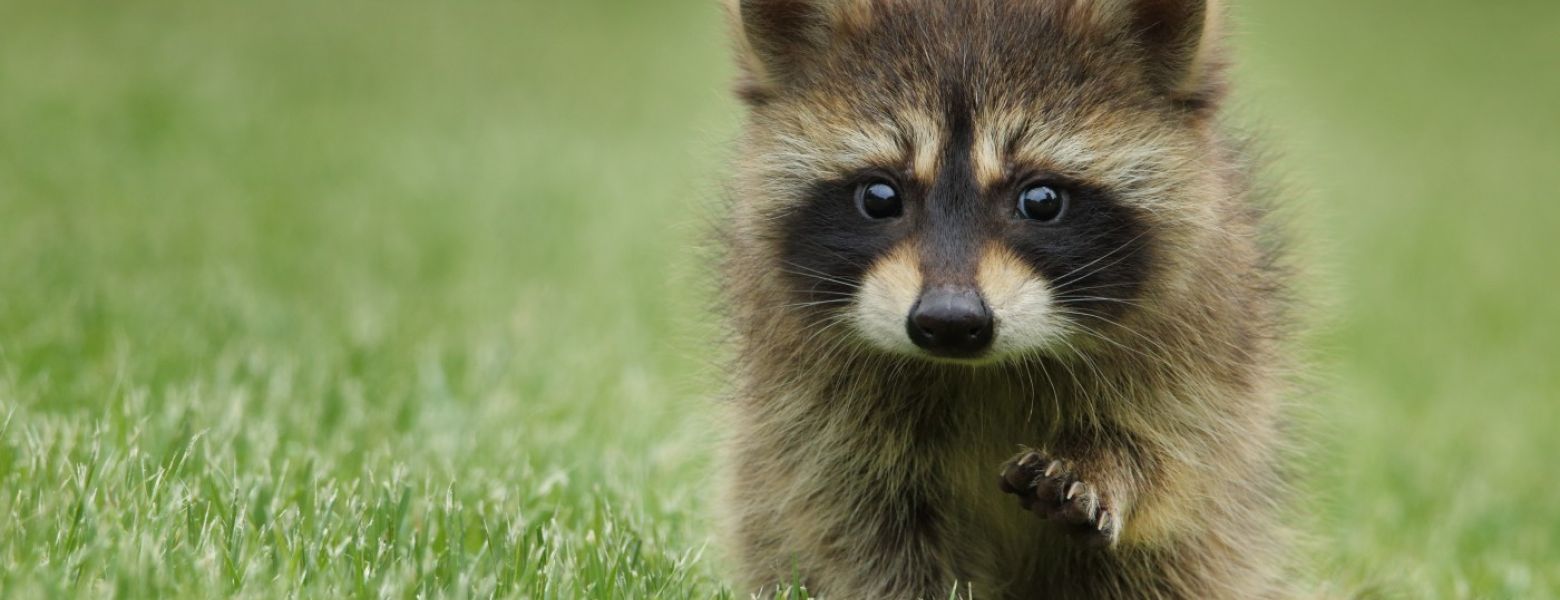 Handling Employees Who Refuse to Comply With a Workplace Mask Rule