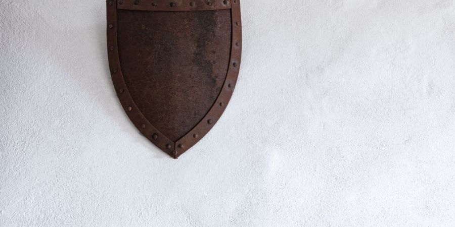 shield on the wall