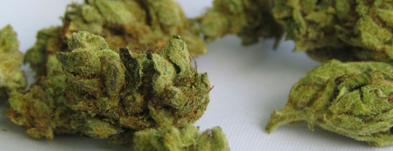 Marijuana
