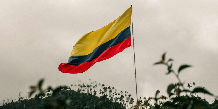venezuelan flag