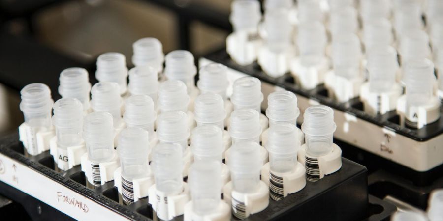 drug test vials, indoors