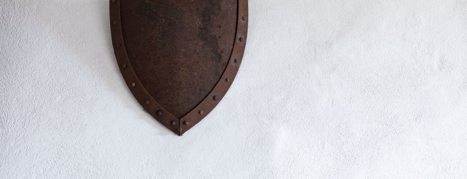 shield on the wall
