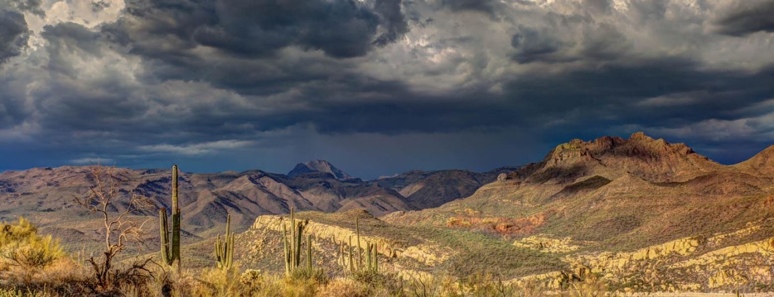 arizona desert