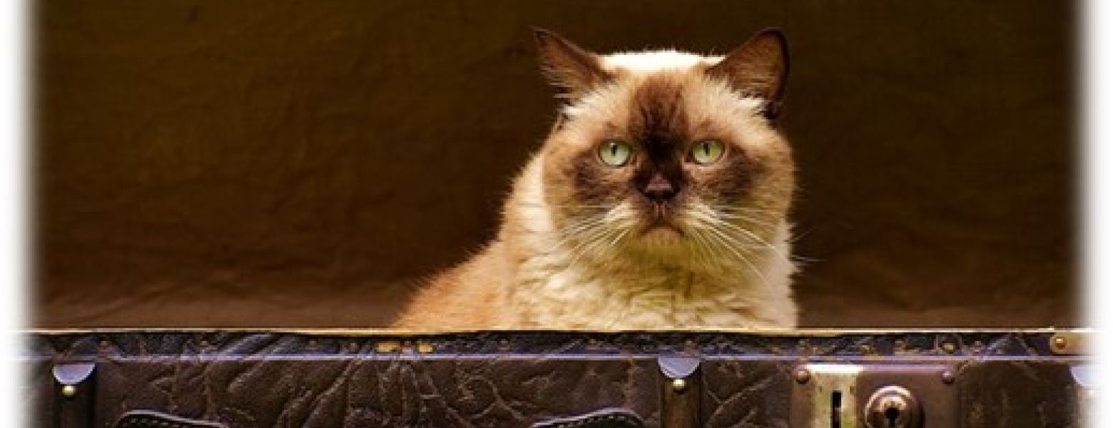 Dirty Deeds Done Dirt Cheap—Another Example of a Bad Harassment Investigation