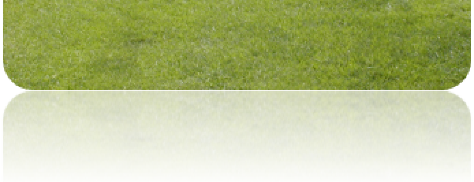 Equal Pay for Equal Play?