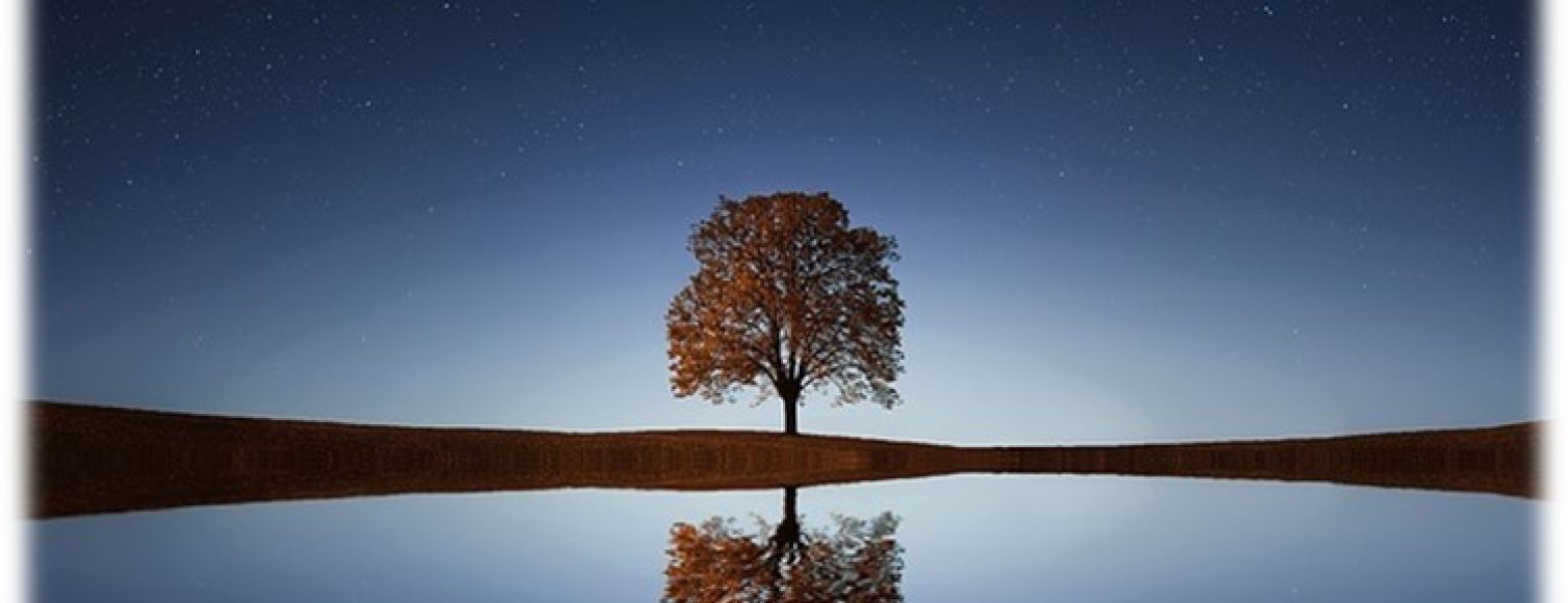 A Time of Reflection—And Preparation