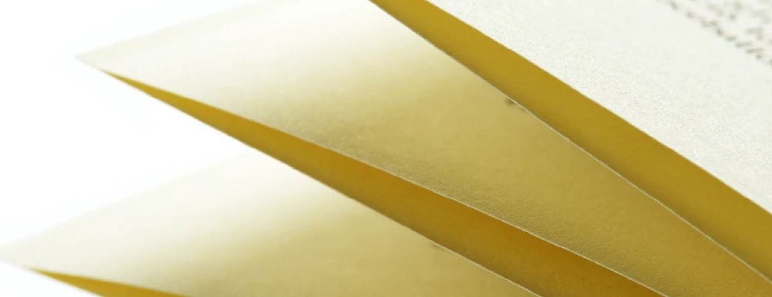 Employee Handbook Audit: Starting from $2,000 (depending on scope of review - can also cover job application review)