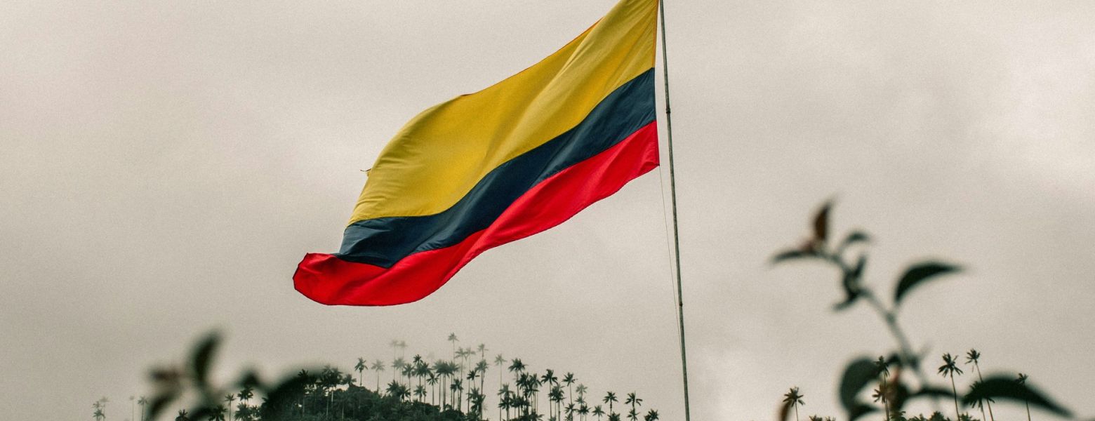 venezuelan flag