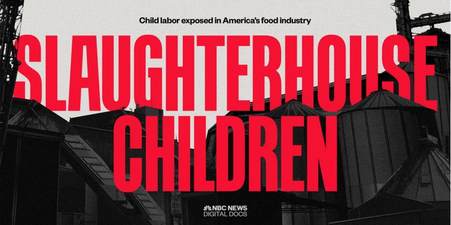 slaughterhouse children documentary graphic, nbc news
