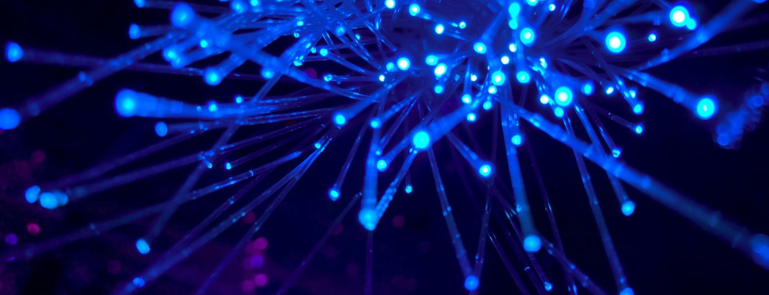 network visualization