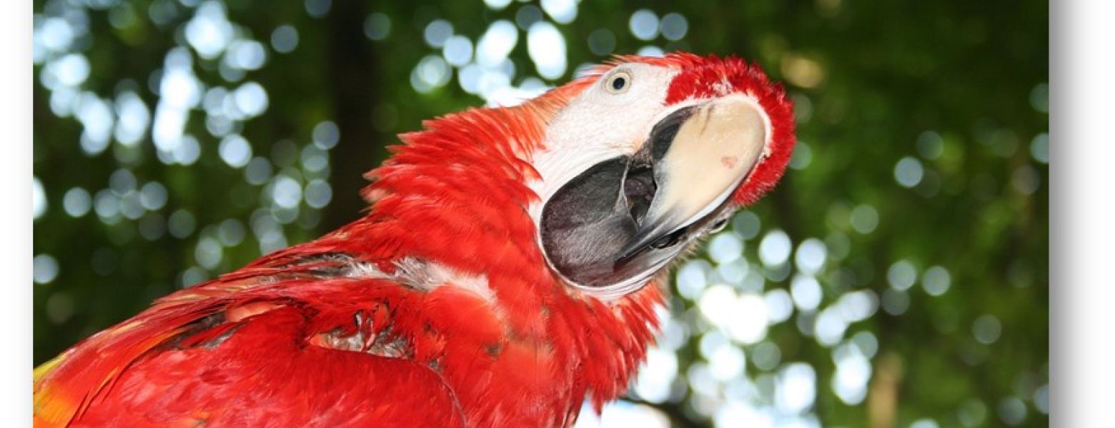 Whatever Happened to the Proposed Increase in the Salary Threshold for Overtime?