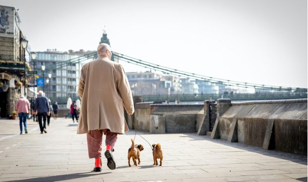 old man walking dogs outdoors