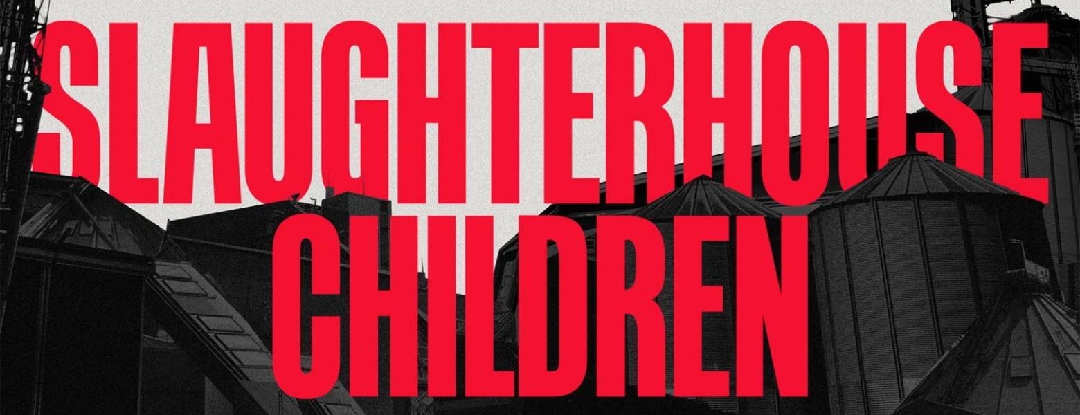 slaughterhouse children documentary graphic, nbc news