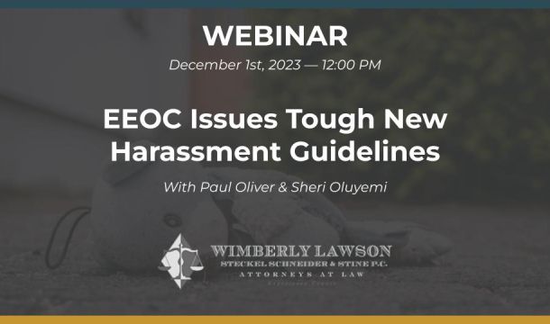 eeoc issues tough new harassment guidelines