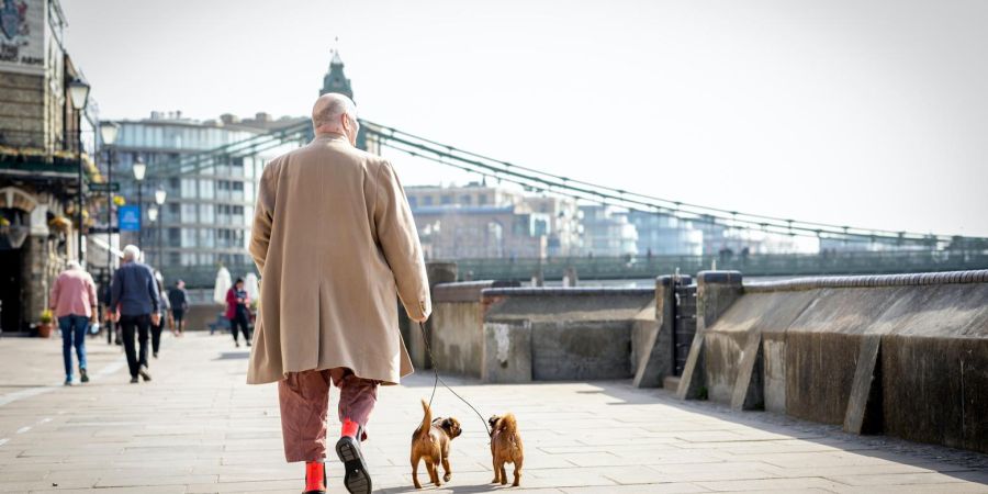 old man walking dogs outdoors