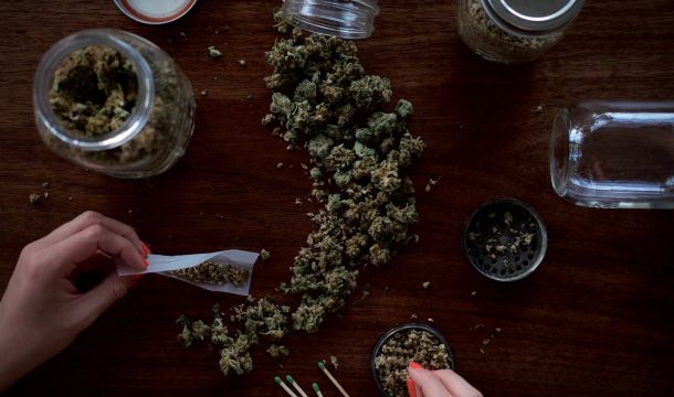 cannabis on a table, indoors