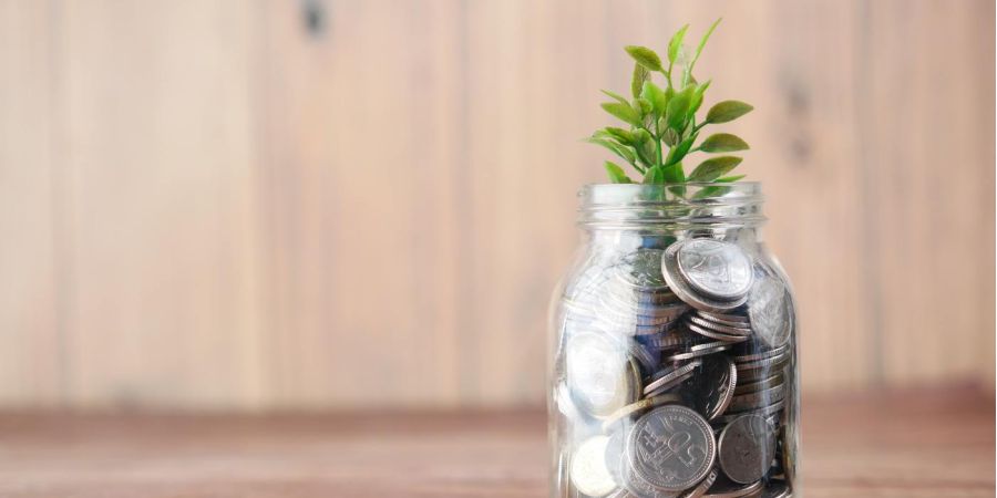 jar of money with a plant coming out, indoors