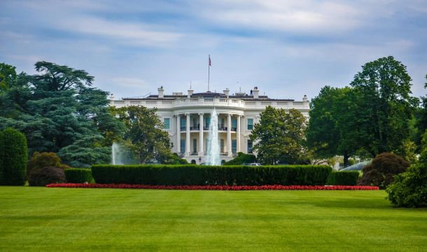 white house, grass