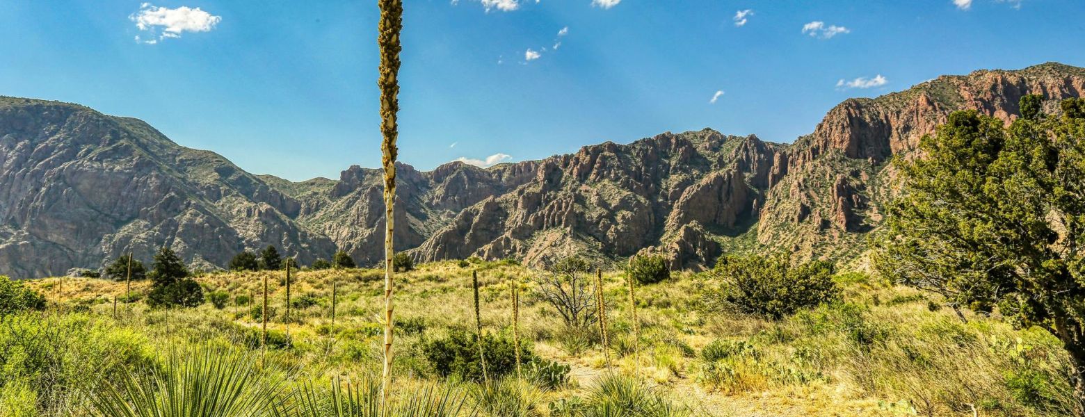 Chisos Mountains. Big Bend National Park, TX. Mick Haupt via Unsplash