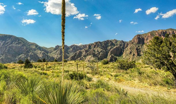 Chisos Mountains. Big Bend National Park, TX. Mick Haupt via Unsplash