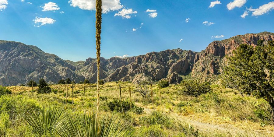 Chisos Mountains. Big Bend National Park, TX. Mick Haupt via Unsplash